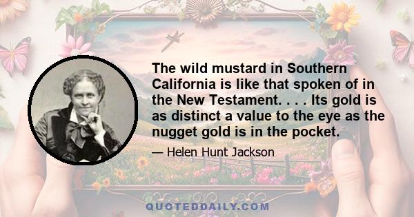 The wild mustard in Southern California is like that spoken of in the New Testament. . . . Its gold is as distinct a value to the eye as the nugget gold is in the pocket.