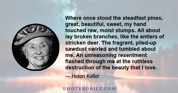 Where once stood the steadfast pines, great, beautiful, sweet, my hand touched raw, moist stumps. All about lay broken branches, like the antlers of stricken deer. The fragrant, piled-up sawdust swirled and tumbled