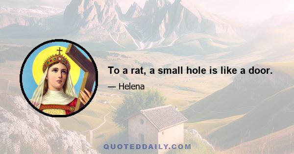 To a rat, a small hole is like a door.