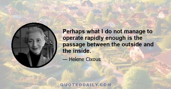 Perhaps what I do not manage to operate rapidly enough is the passage between the outside and the inside.