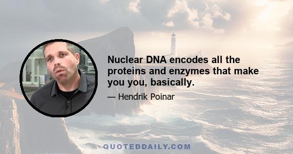 Nuclear DNA encodes all the proteins and enzymes that make you you, basically.