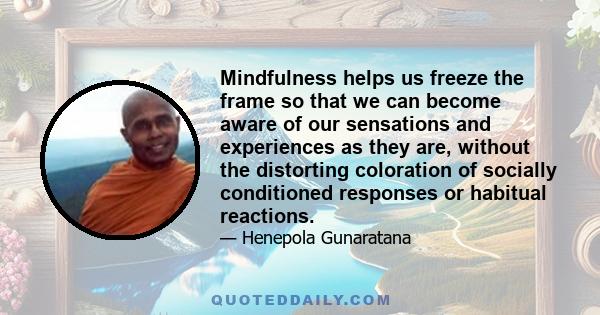 Mindfulness helps us freeze the frame so that we can become aware of our sensations and experiences as they are, without the distorting coloration of socially conditioned responses or habitual reactions.