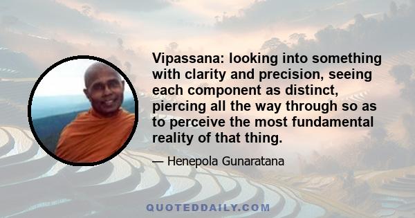 Vipassana: looking into something with clarity and precision, seeing each component as distinct, piercing all the way through so as to perceive the most fundamental reality of that thing.