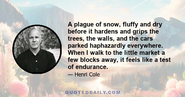 A plague of snow, fluffy and dry before it hardens and grips the trees, the walls, and the cars parked haphazardly everywhere. When I walk to the little market a few blocks away, it feels like a test of endurance.