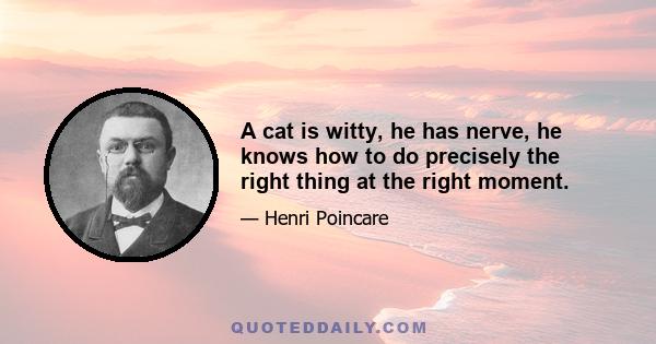 A cat is witty, he has nerve, he knows how to do precisely the right thing at the right moment.