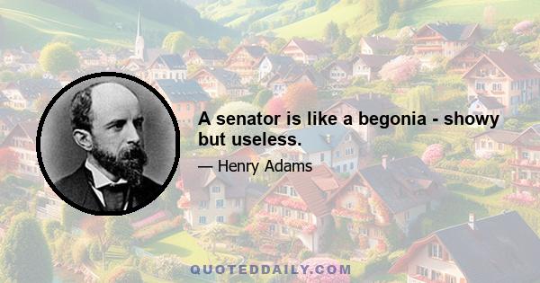 A senator is like a begonia - showy but useless.