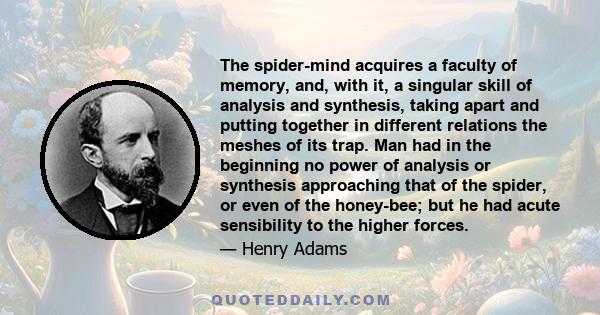 The spider-mind acquires a faculty of memory, and, with it, a singular skill of analysis and synthesis, taking apart and putting together in different relations the meshes of its trap. Man had in the beginning no power