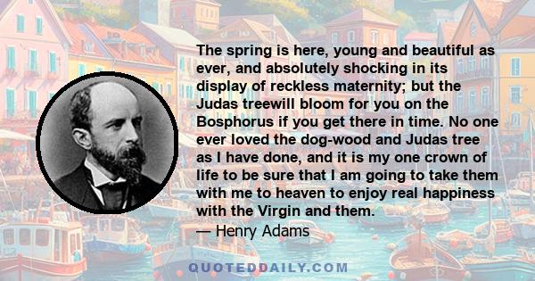 The spring is here, young and beautiful as ever, and absolutely shocking in its display of reckless maternity; but the Judas treewill bloom for you on the Bosphorus if you get there in time. No one ever loved the