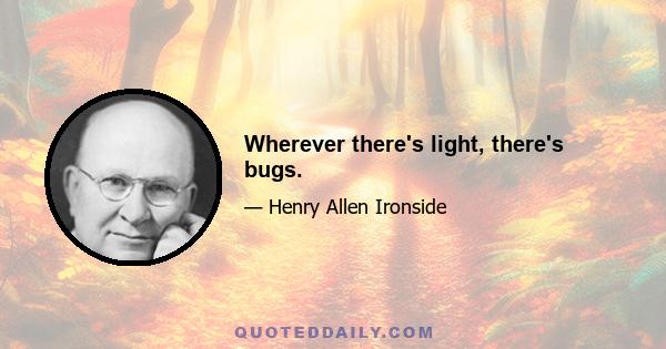 Wherever there's light, there's bugs.