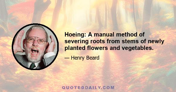 Hoeing: A manual method of severing roots from stems of newly planted flowers and vegetables.