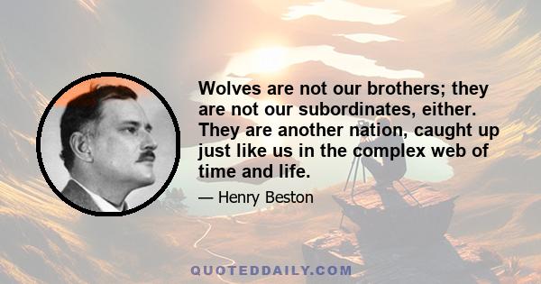 Wolves are not our brothers; they are not our subordinates, either. They are another nation, caught up just like us in the complex web of time and life.