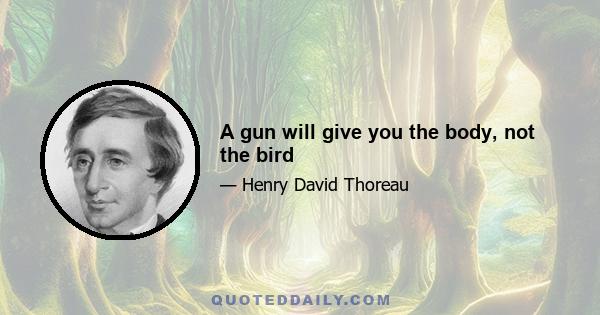 A gun will give you the body, not the bird