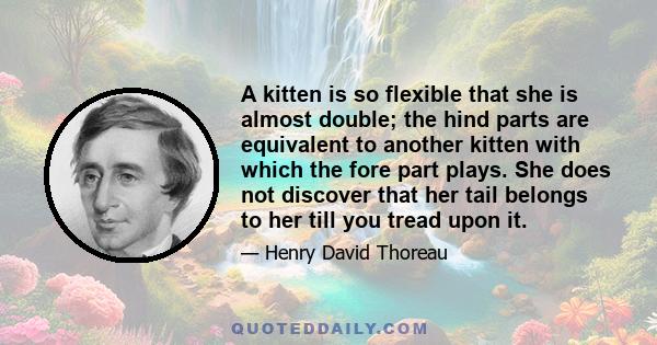 A kitten is so flexible that she is almost double; the hind parts are equivalent to another kitten with which the fore part plays. She does not discover that her tail belongs to her till you tread upon it.