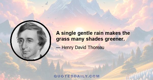 A single gentle rain makes the grass many shades greener.