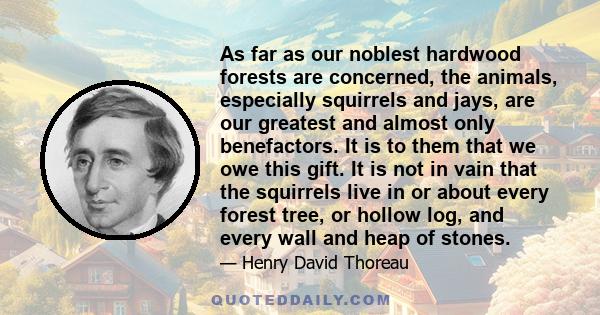 As far as our noblest hardwood forests are concerned, the animals, especially squirrels and jays, are our greatest and almost only benefactors. It is to them that we owe this gift. It is not in vain that the squirrels