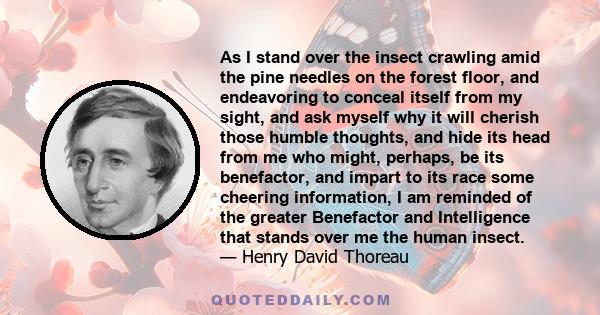 As I stand over the insect crawling amid the pine needles on the forest floor, and endeavoring to conceal itself from my sight, and ask myself why it will cherish those humble thoughts, and hide its head from me who