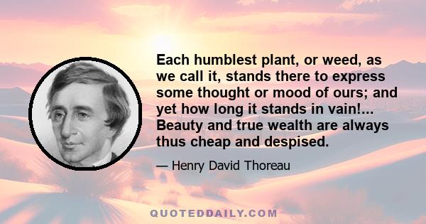 Each humblest plant, or weed, as we call it, stands there to express some thought or mood of ours; and yet how long it stands in vain!... Beauty and true wealth are always thus cheap and despised.