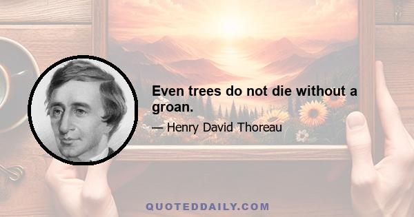 Even trees do not die without a groan.