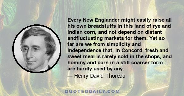 Every New Englander might easily raise all his own breadstuffs in this land of rye and Indian corn, and not depend on distant andfluctuating markets for them. Yet so far are we from simplicity and independence that, in