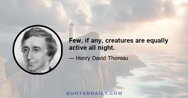 Few, if any, creatures are equally active all night.