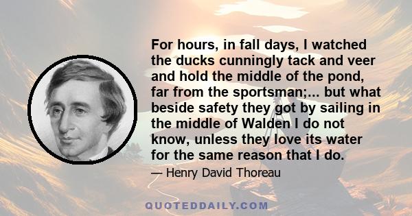 For hours, in fall days, I watched the ducks cunningly tack and veer and hold the middle of the pond, far from the sportsman;... but what beside safety they got by sailing in the middle of Walden I do not know, unless