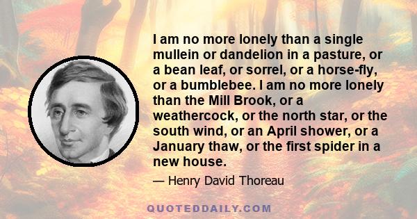 I am no more lonely than a single mullein or dandelion in a pasture, or a bean leaf, or sorrel, or a horse-fly, or a bumblebee. I am no more lonely than the Mill Brook, or a weathercock, or the north star, or the south