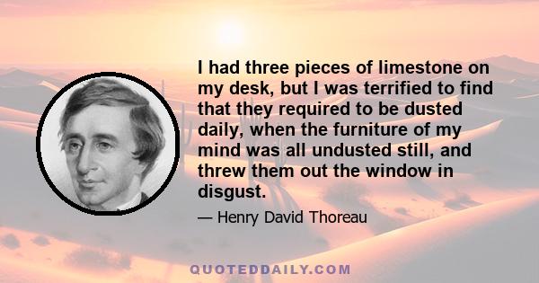 I had three pieces of limestone on my desk, but I was terrified to find that they required to be dusted daily, when the furniture of my mind was all undusted still, and threw them out the window in disgust.