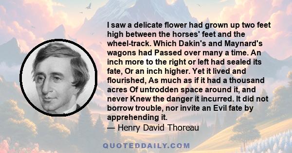 I saw a delicate flower had grown up two feet high between the horses' feet and the wheel-track. Which Dakin's and Maynard's wagons had Passed over many a time. An inch more to the right or left had sealed its fate, Or