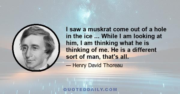 I saw a muskrat come out of a hole in the ice ... While I am looking at him, I am thinking what he is thinking of me. He is a different sort of man, that's all.