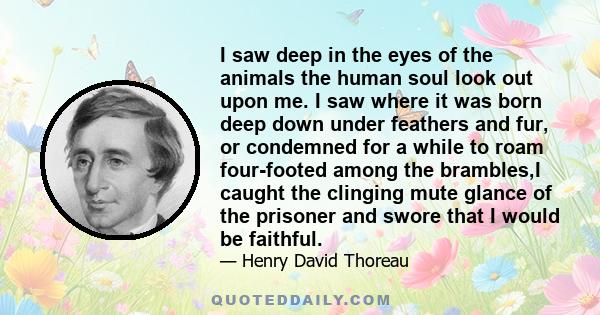 I saw deep in the eyes of the animals the human soul look out upon me. I saw where it was born deep down under feathers and fur, or condemned for a while to roam four-footed among the brambles,I caught the clinging mute 