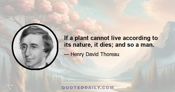 If a plant cannot live according to its nature, it dies; and so a man.