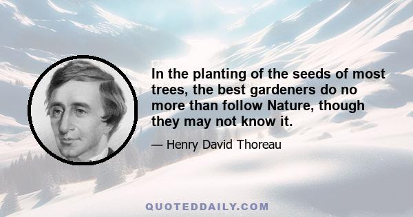 In the planting of the seeds of most trees, the best gardeners do no more than follow Nature, though they may not know it.