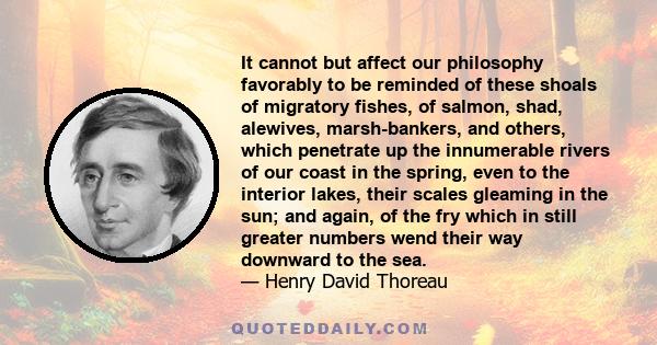 It cannot but affect our philosophy favorably to be reminded of these shoals of migratory fishes, of salmon, shad, alewives, marsh-bankers, and others, which penetrate up the innumerable rivers of our coast in the