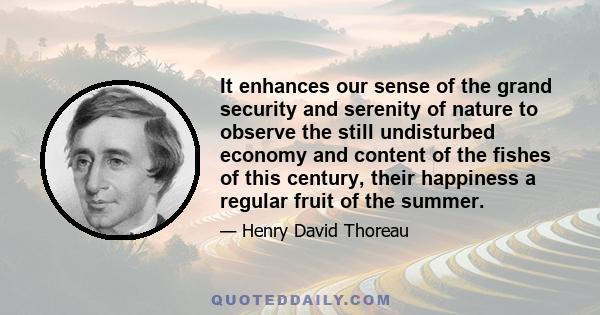 It enhances our sense of the grand security and serenity of nature to observe the still undisturbed economy and content of the fishes of this century, their happiness a regular fruit of the summer.