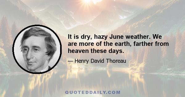 It is dry, hazy June weather. We are more of the earth, farther from heaven these days.