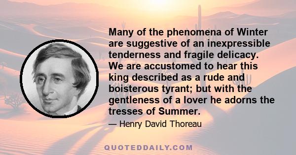 Many of the phenomena of Winter are suggestive of an inexpressible tenderness and fragile delicacy. We are accustomed to hear this king described as a rude and boisterous tyrant; but with the gentleness of a lover he