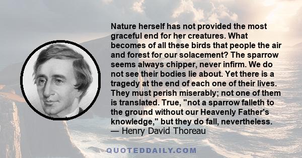 Nature herself has not provided the most graceful end for her creatures. What becomes of all these birds that people the air and forest for our solacement? The sparrow seems always chipper, never infirm. We do not see