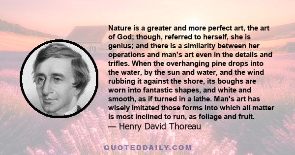 Nature is a greater and more perfect art, the art of God; though, referred to herself, she is genius; and there is a similarity between her operations and man's art even in the details and trifles. When the overhanging