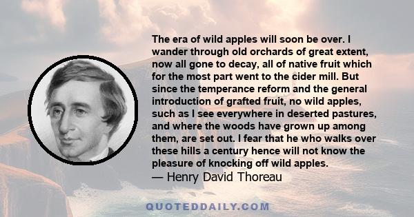 The era of wild apples will soon be over. I wander through old orchards of great extent, now all gone to decay, all of native fruit which for the most part went to the cider mill. But since the temperance reform and the 