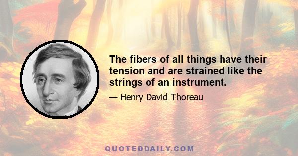 The fibers of all things have their tension and are strained like the strings of an instrument.