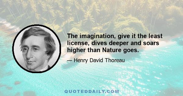 The imagination, give it the least license, dives deeper and soars higher than Nature goes.