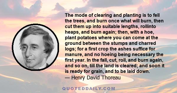 The mode of clearing and planting is to fell the trees, and burn once what will burn, then cut them up into suitable lengths, rollinto heaps, and burn again; then, with a hoe, plant potatoes where you can come at the