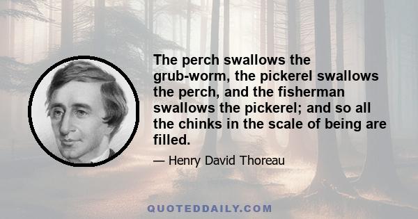 The perch swallows the grub-worm, the pickerel swallows the perch, and the fisherman swallows the pickerel; and so all the chinks in the scale of being are filled.