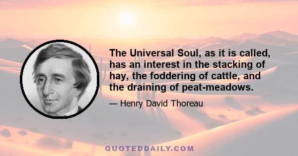 The Universal Soul, as it is called, has an interest in the stacking of hay, the foddering of cattle, and the draining of peat-meadows.