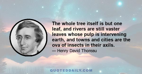 The whole tree itself is but one leaf, and rivers are still vaster leaves whose pulp is intervening earth, and towns and cities are the ova of insects in their axils.