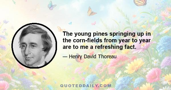 The young pines springing up in the corn-fields from year to year are to me a refreshing fact.