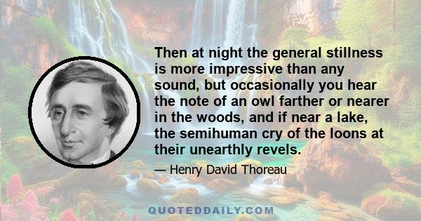 Then at night the general stillness is more impressive than any sound, but occasionally you hear the note of an owl farther or nearer in the woods, and if near a lake, the semihuman cry of the loons at their unearthly