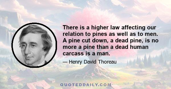 There is a higher law affecting our relation to pines as well as to men. A pine cut down, a dead pine, is no more a pine than a dead human carcass is a man.