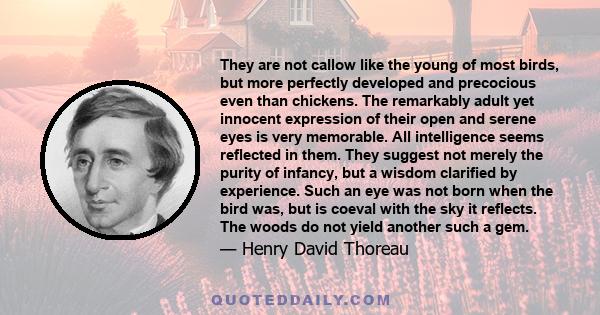 They are not callow like the young of most birds, but more perfectly developed and precocious even than chickens. The remarkably adult yet innocent expression of their open and serene eyes is very memorable. All