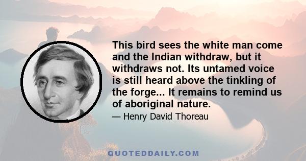 This bird sees the white man come and the Indian withdraw, but it withdraws not. Its untamed voice is still heard above the tinkling of the forge... It remains to remind us of aboriginal nature.